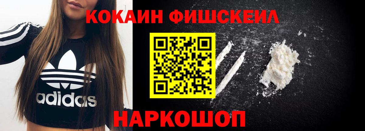 COCAIN Fish Scale  Вход с VPN  Шадринск 
