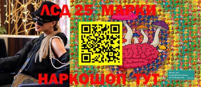 гидра Моздок