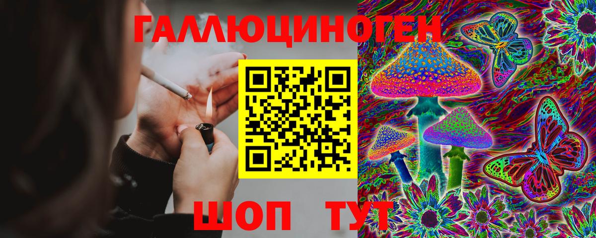 Галлюциногенные грибы Psilocybine cubensis Шадринск