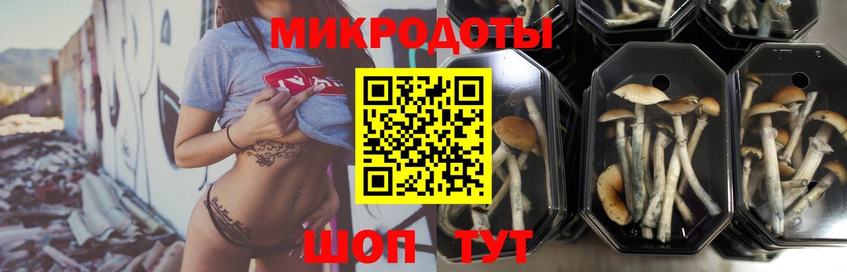 Галлюциногенные грибы прущие грибы  Вход с VPN  Шадринск 